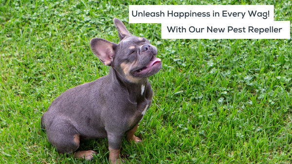 dog smiling