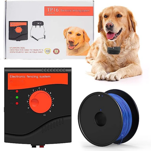 Hidden dog fence company best sale