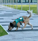 Smart Pet Tracker - GPS Tracking & Pet Safety Monitoring