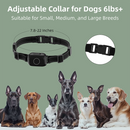 Barktec 2-in-1 Anti-Bark Collar+Remote Training Collar