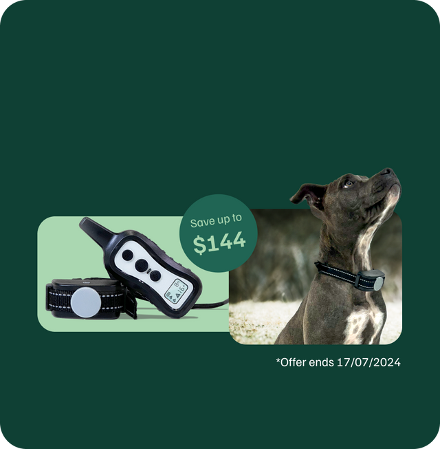 eDog NZ | Shop Dog Training Collars, Bark Collars, Fences & More