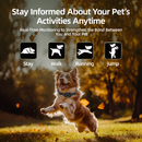 Barktec 2-in-1 Anti-Bark Collar+Remote Training Collar