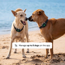 Houndware Smart App-Controlled GPS Pet Fence
