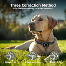 Barktec 2-in-1 Anti-Bark Collar+Remote Training Collar