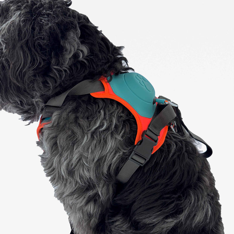 2-in-1 No Pull Dog Harness & Dog Leash