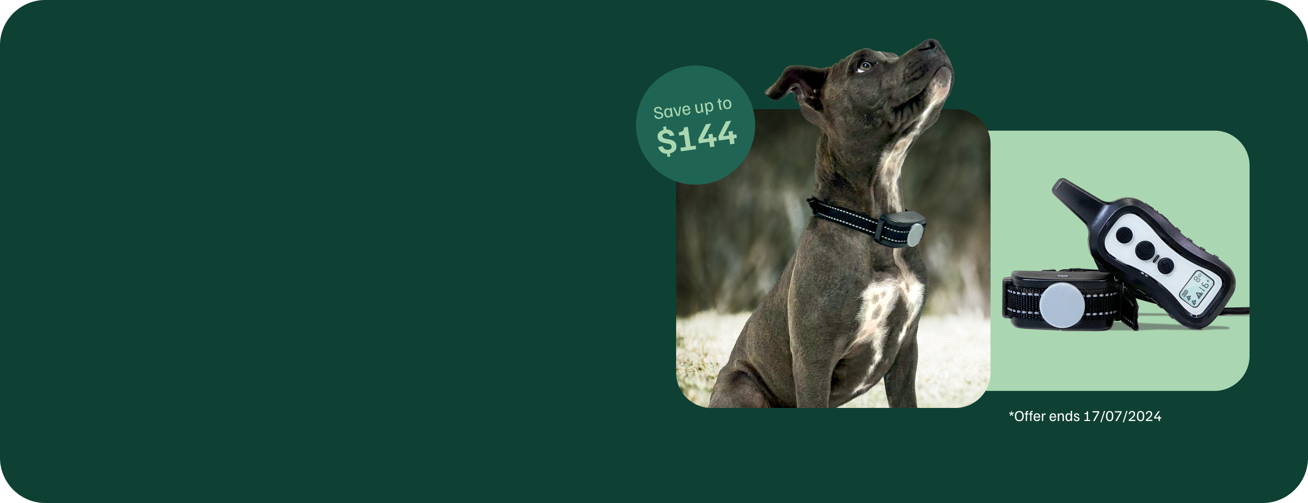 eDog NZ | Shop Dog Training Collars, Bark Collars, Fences & More