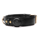 premium dog tracker collar