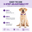 Purple Dog Calming Collar - 2 pack