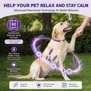 Purple Dog Calming Collar - 2 pack