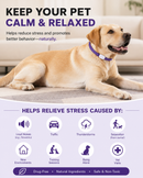 Purple Dog Calming Collar - 2 pack