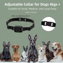 Barktec 2-in-1 Anti-Bark Collar+Remote Training Collar