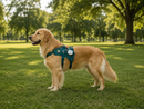Smart Pet Tracker - GPS Tracking & Pet Safety Monitoring