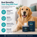 Barktec Dog Calming Refills 40ML