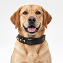 FRED Leather Tracker Collar
