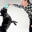 Large dog chewing on the Rubber Dental Dog Ring Toy outdoors, enjoying the durable design and dental benefits