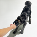 Large dog playing with a K9 tug toy outdoors, showcasing its strength and durability for interactive play.