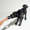 Pet owner holding the Strong Rubber Ring, demonstrating its easy-to-grip design and large size for interactive play.