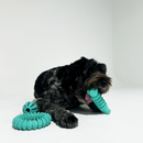Dog happily chewing on the Rubber Dental Bone, enjoying the durable material and dental benefits