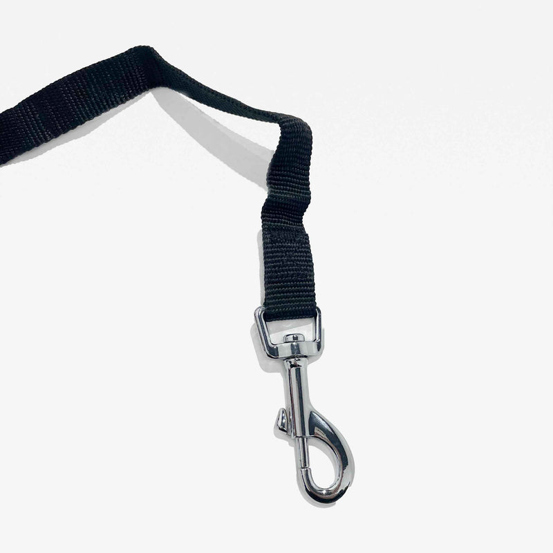 Dog Recall Training Leash - Black