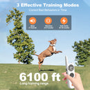 Houndware BoundWise Pro - 2-in-1 Wireless Dog Fence & Training Kit
