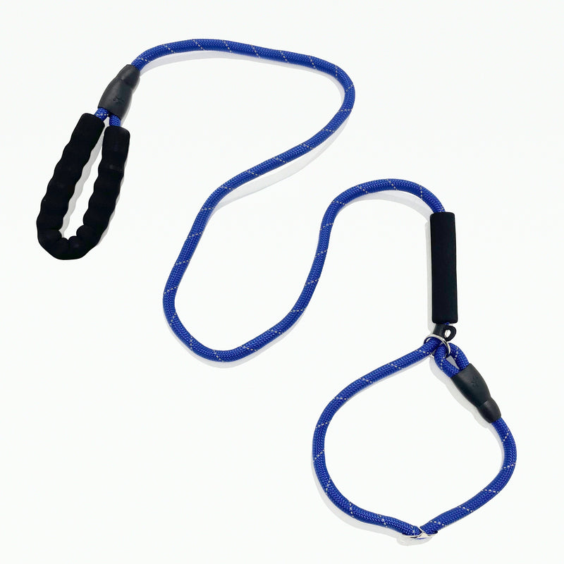 No-Pull Slip Lead - Blue Dog Training Leash