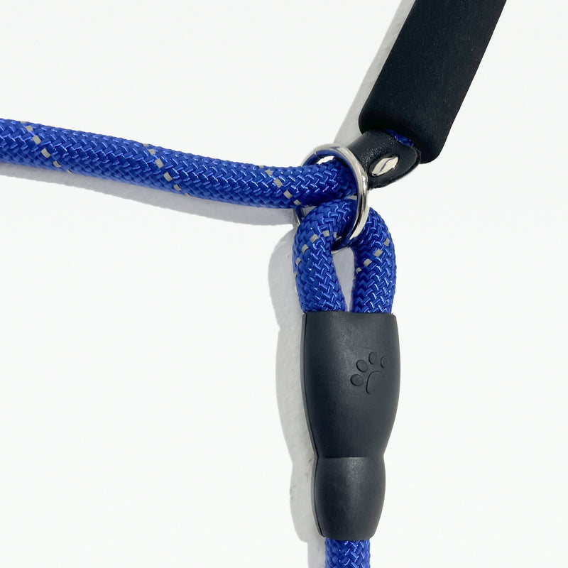 No-Pull Slip Lead - Blue Dog Training Leash