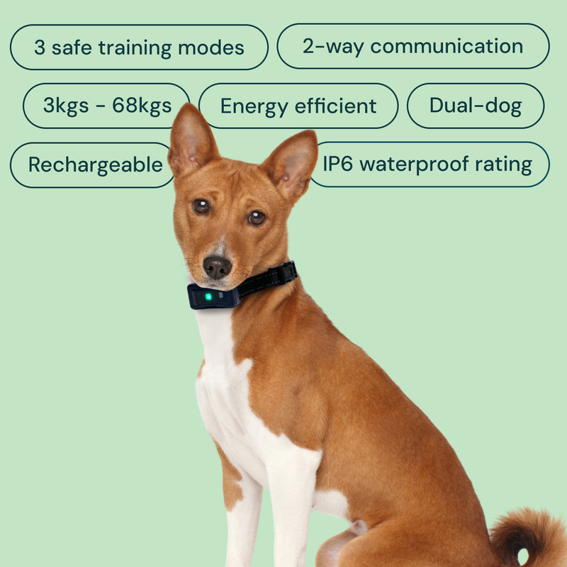 Houndware Professional Long-Distance Training Collar with 99-Level Static Control