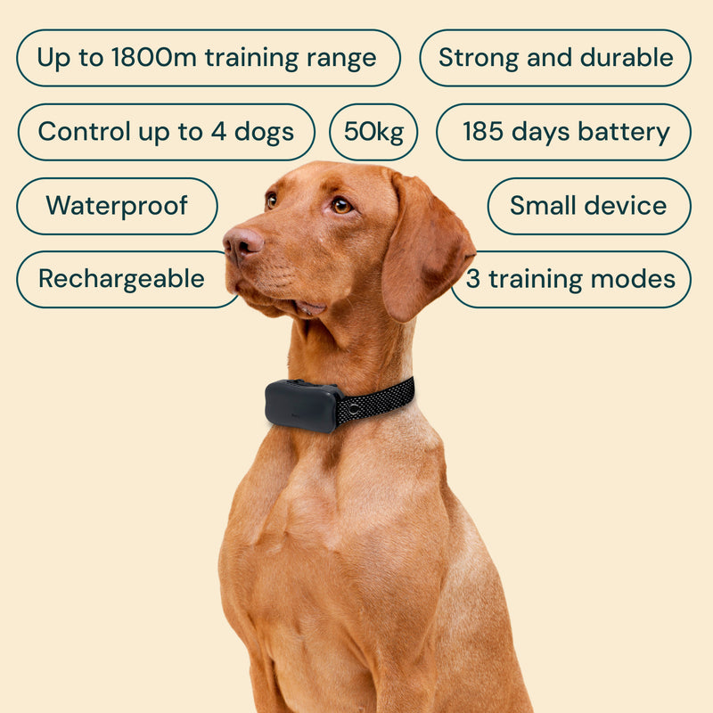Training Collar Best Radius Dog Collar E-Collar PE-900 Pro Educator Advanced Remote Dog Trainer 1/2