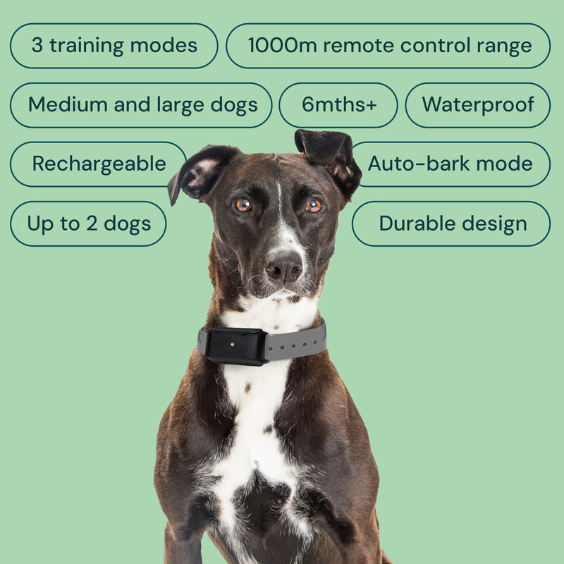 AETERTEK AT-918C Dog Remote Training Collar with Auto-Bark