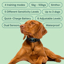 features of the Anti-Bark Collar, including multiple correction modes and sensitivity settings for customized bark control.