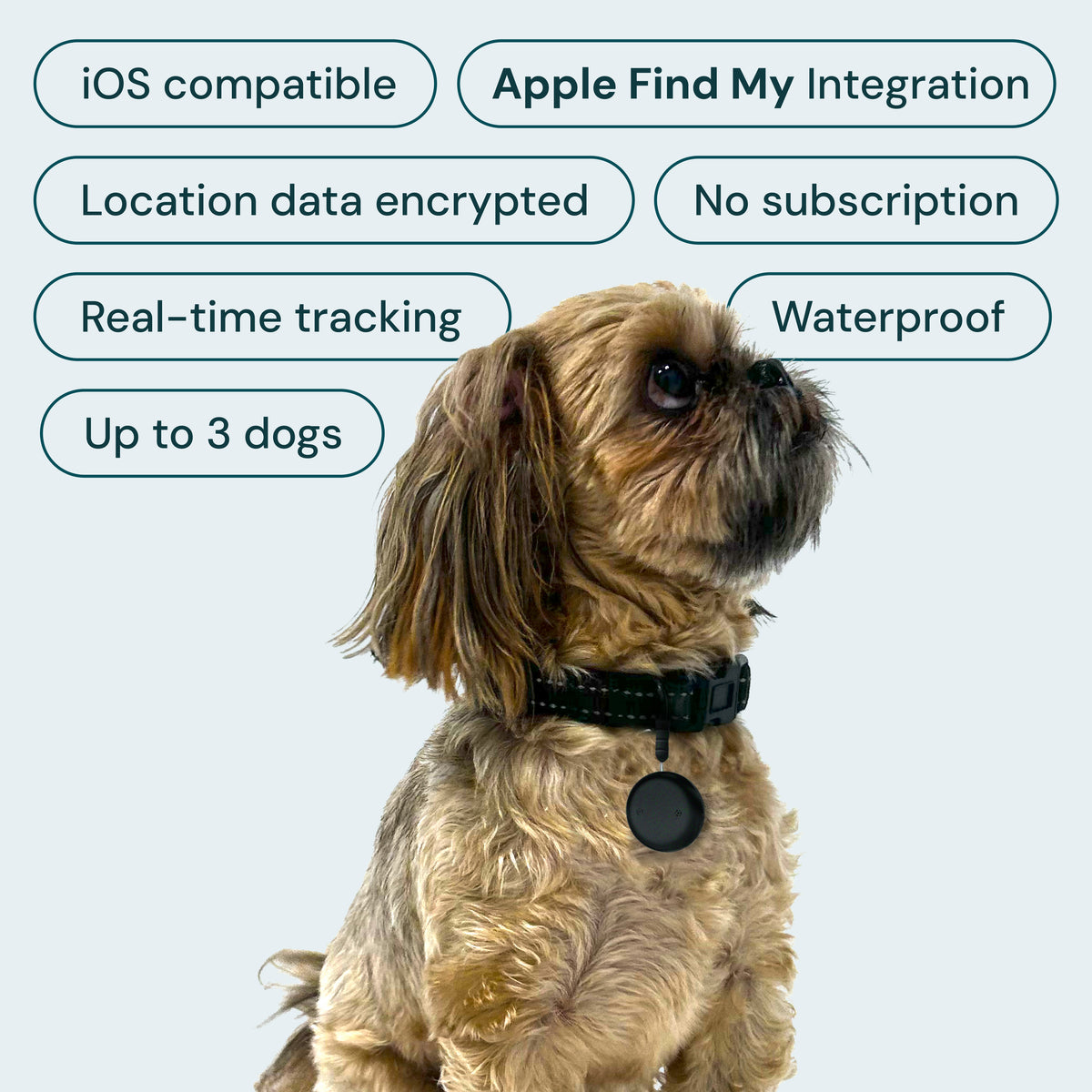 Smart Cat Dog Tracker with Apple Find My iPhone eDog NZ