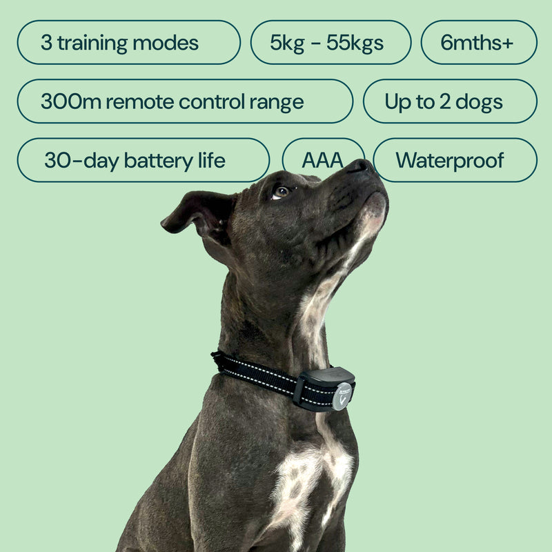 Houndware HW101 Remote Dog Training Collars