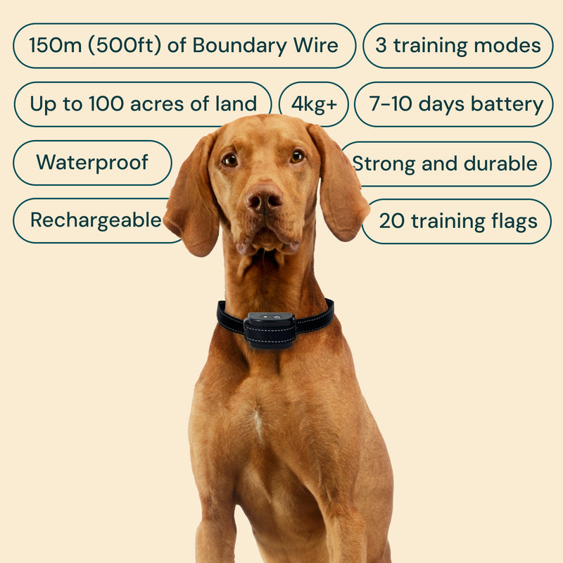 Hidden electric dog fence system featuring a rechargeable collar, boundary wire, and training flags for effective pet training in New Zealand