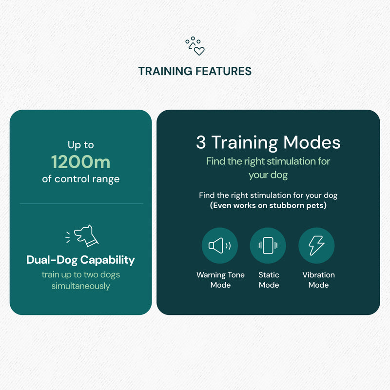 Houndware Professional Long-Distance Training Collar with 99-Level Static Control