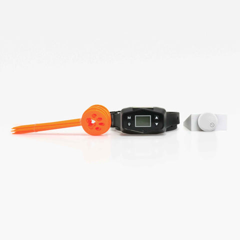 Escape Artist Dog safety training bundle with GPS tracker for New Zealand pet owners, ensuring dogs stay safe and can be tracked in real time.