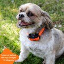 AETERTEK AT-919C Remote Training Collar with Auto-Bark