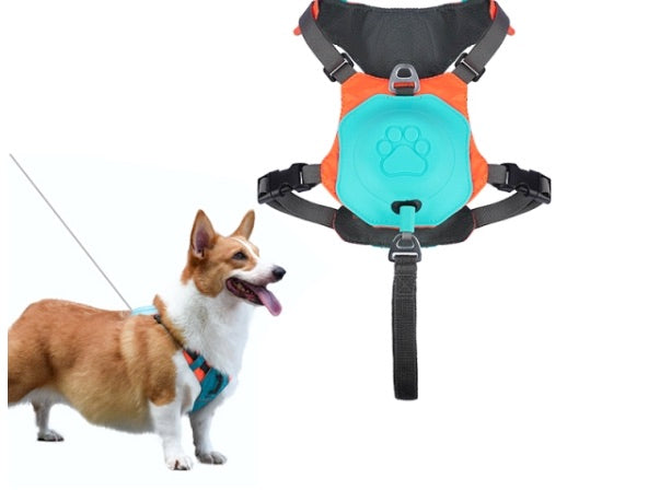 2 in 1 leash hot sale