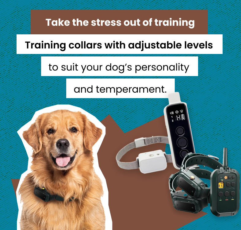 eDog NZ | Shop Dog Training Collars, Bark Collars, Fences & More