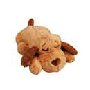 Close up Snuggle Puppy in a Biscuit