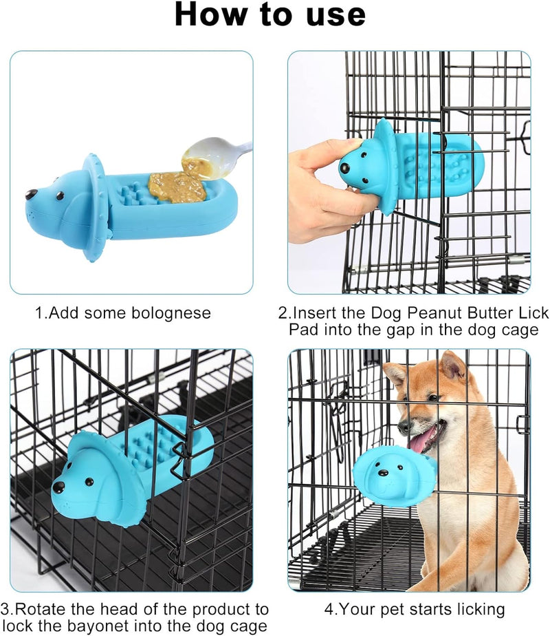 Crate training food and water 2025