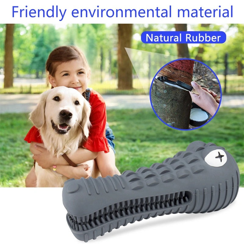 Dog chewing on the Crocodile Dog Chew Toy outside - Provides interactive playtime and helps promote healthy teeth natural rubber