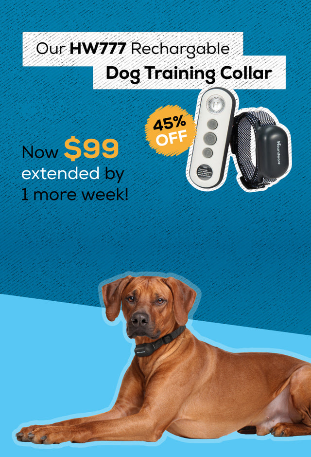 Dog training shop collar afterpay