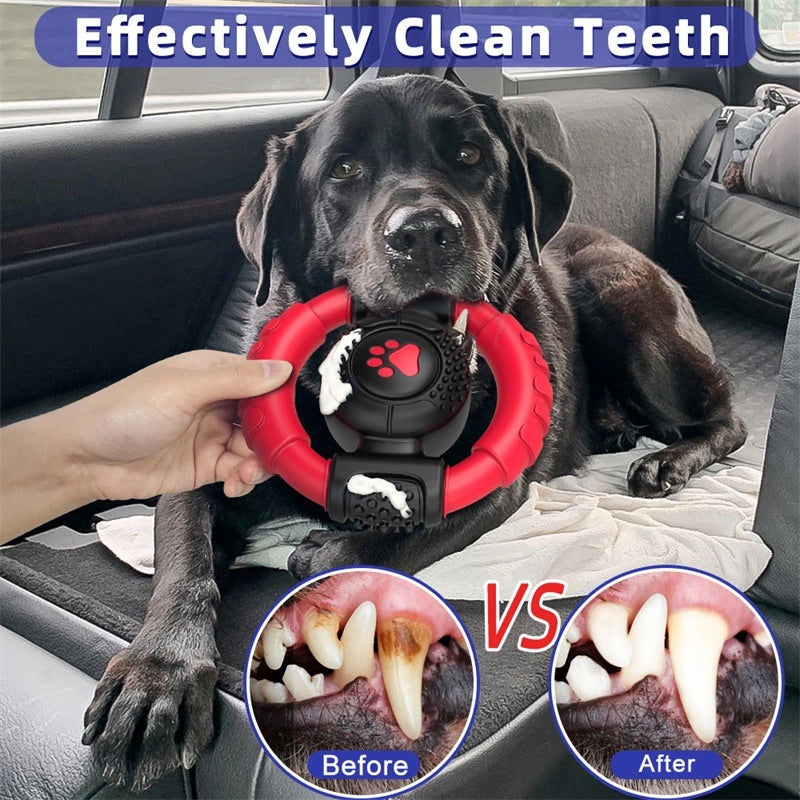 Best dog toy to clean teeth online