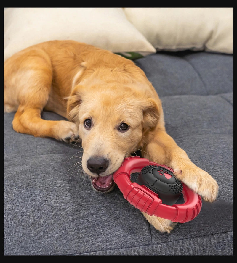 Dog chewing on the Ultra Durable Steering Wheel Dog Toy indoors - Keeps dogs engaged and helps reduce boredom.