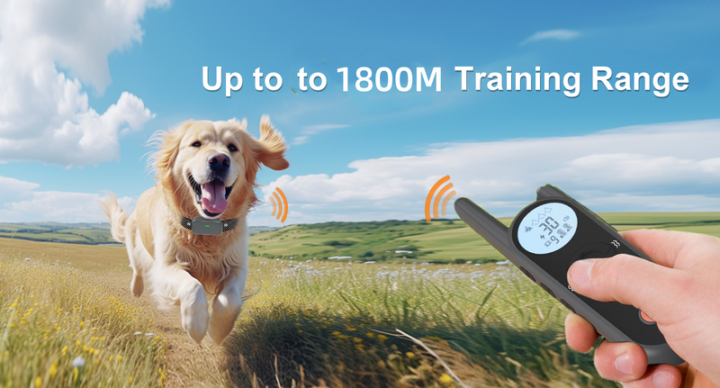 Dog wearing the training collar outdoors - Ideal for safe and effective training sessions in the yard up to 1800M Training Range