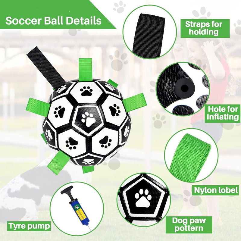 large dog soccer ball details