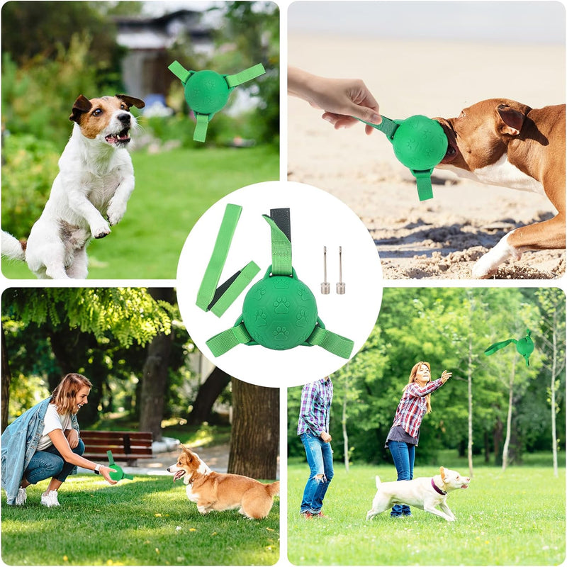 dogs playing with rubber rubber soccer ball