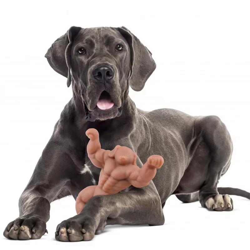 Dog holding muscle ultra-durable chew toy