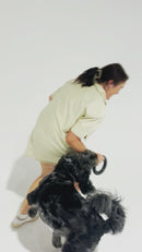 Medium-sized dog chewing on a K9 rubber chew toy, enjoying the tough and durable design perfect for strong jaws