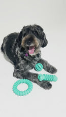 Rubber Dental Dog Ring Toy 